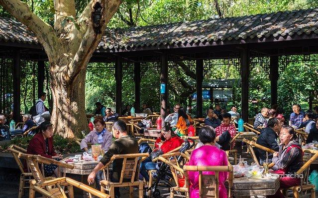 成都网红旅行攻略,四川成都新津最新网红打卡景点