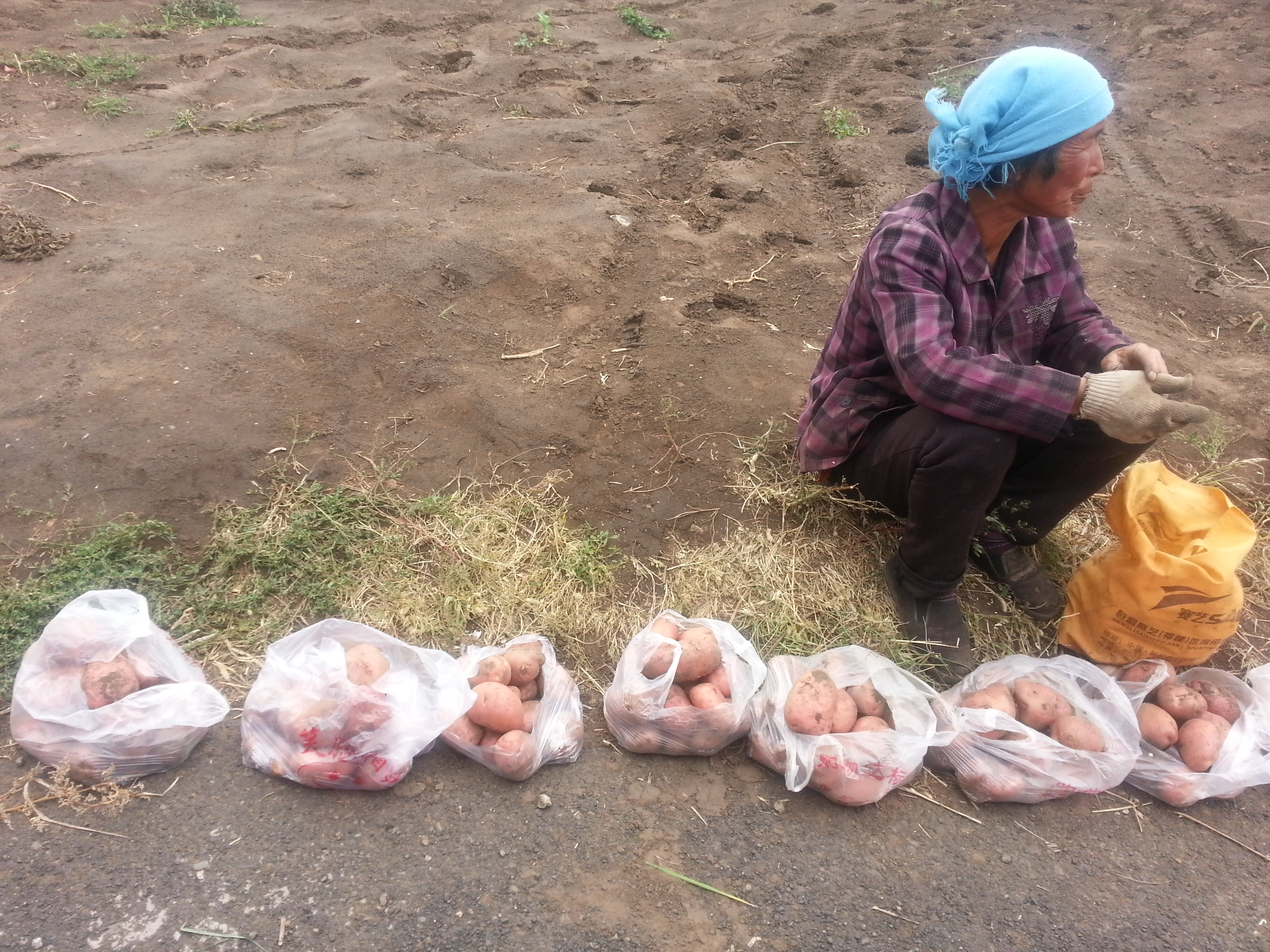 那是一条神奇的天路,体验张北草原天路自然风光