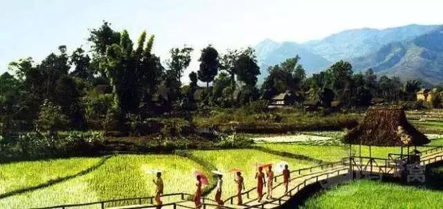 西双版纳13大旅游度假酒店，高品质，家庭出游最佳选择#版纳旅游