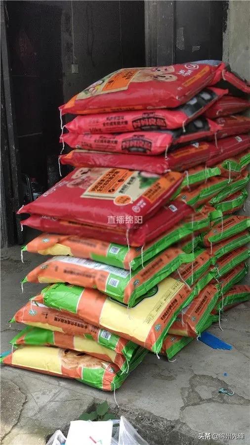 被救下的111条狗狗,一只金毛流浪狗被解救过程