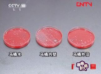 好物分享：居家小神器，提高你的生活幸福感