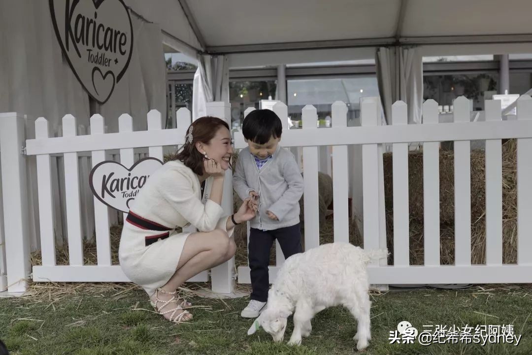 澳洲原装进口奶粉可瑞康,澳洲可瑞康奶粉新包装