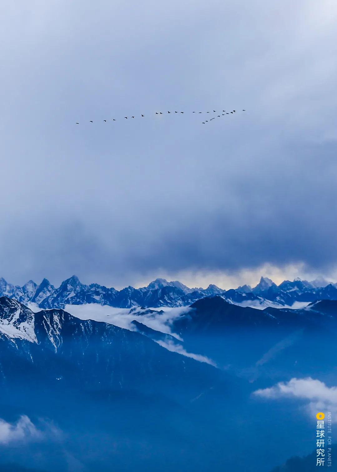 林草领域知识图谱,林草科普专业术语