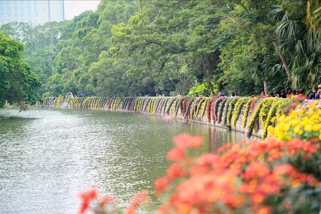 深圳地铁7号线有什么好玩的,深圳地铁十四号线游玩攻略
