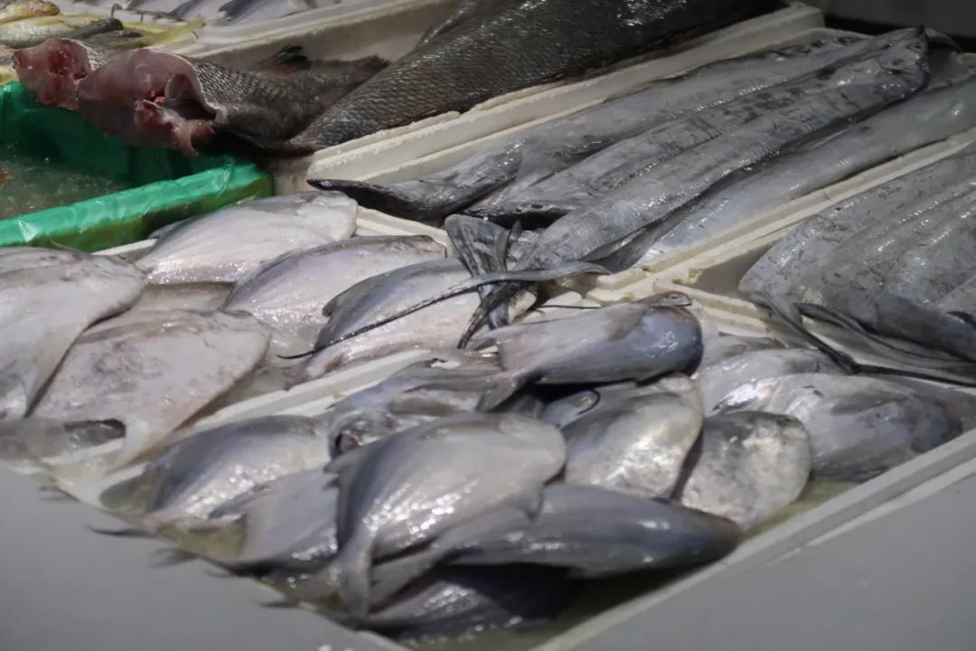 在这个足足2万平的奇妙海鲜“商场”，我找到了赚钱的动力