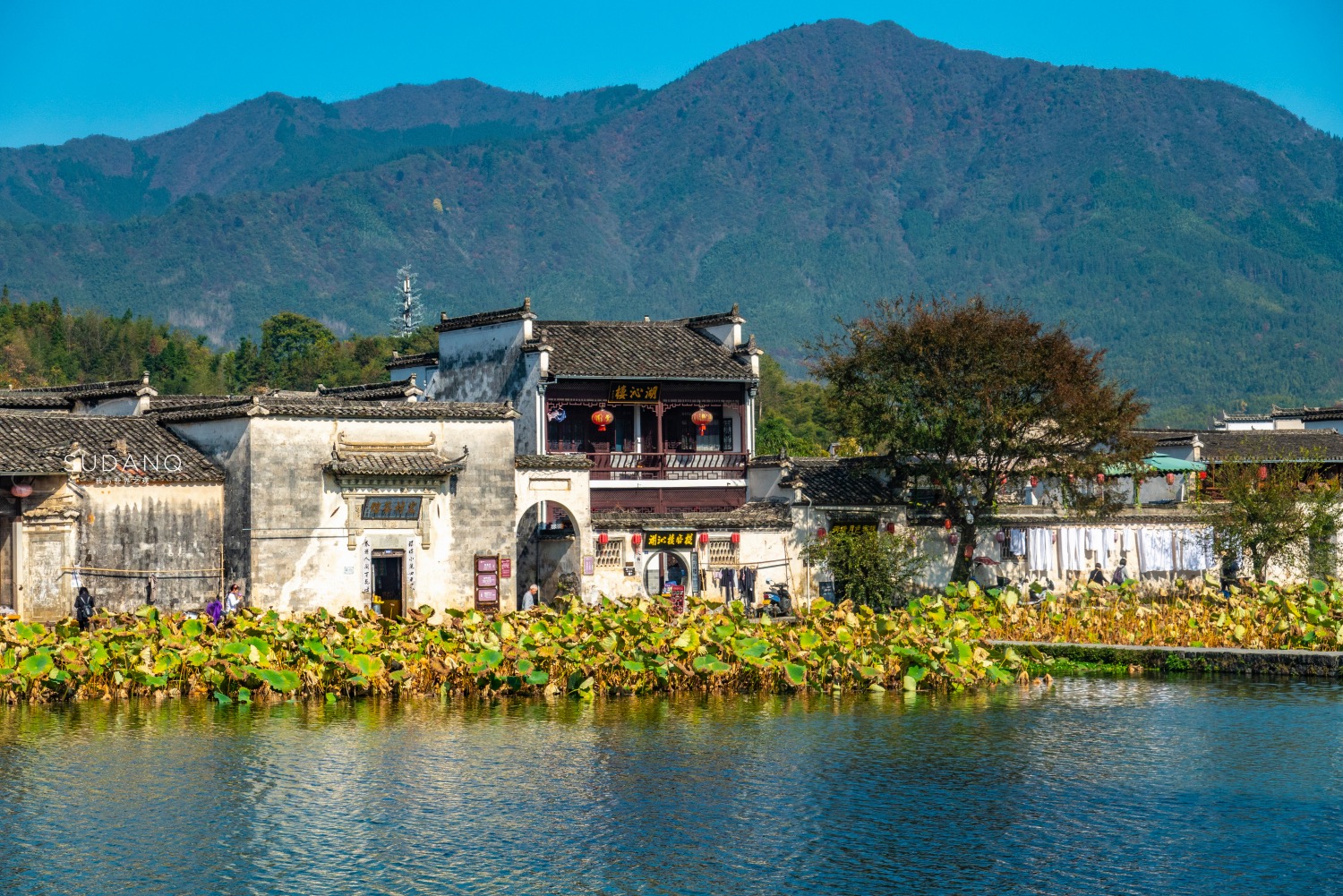 黄山宏村名气有多大,安徽宏村商业化严重么