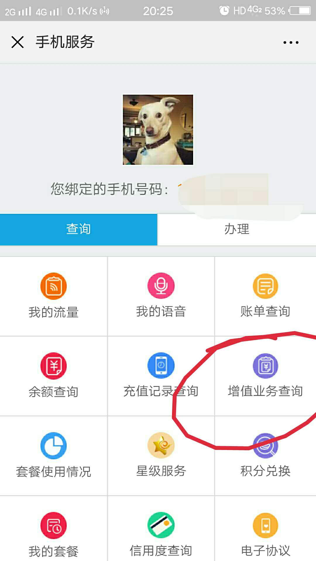 手机里的扣费服务哪里查到,手机扣费冷知识