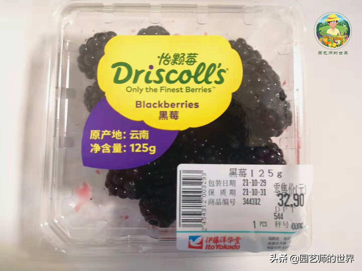 夏季草莓还能开花结果吗,草莓夏季高产