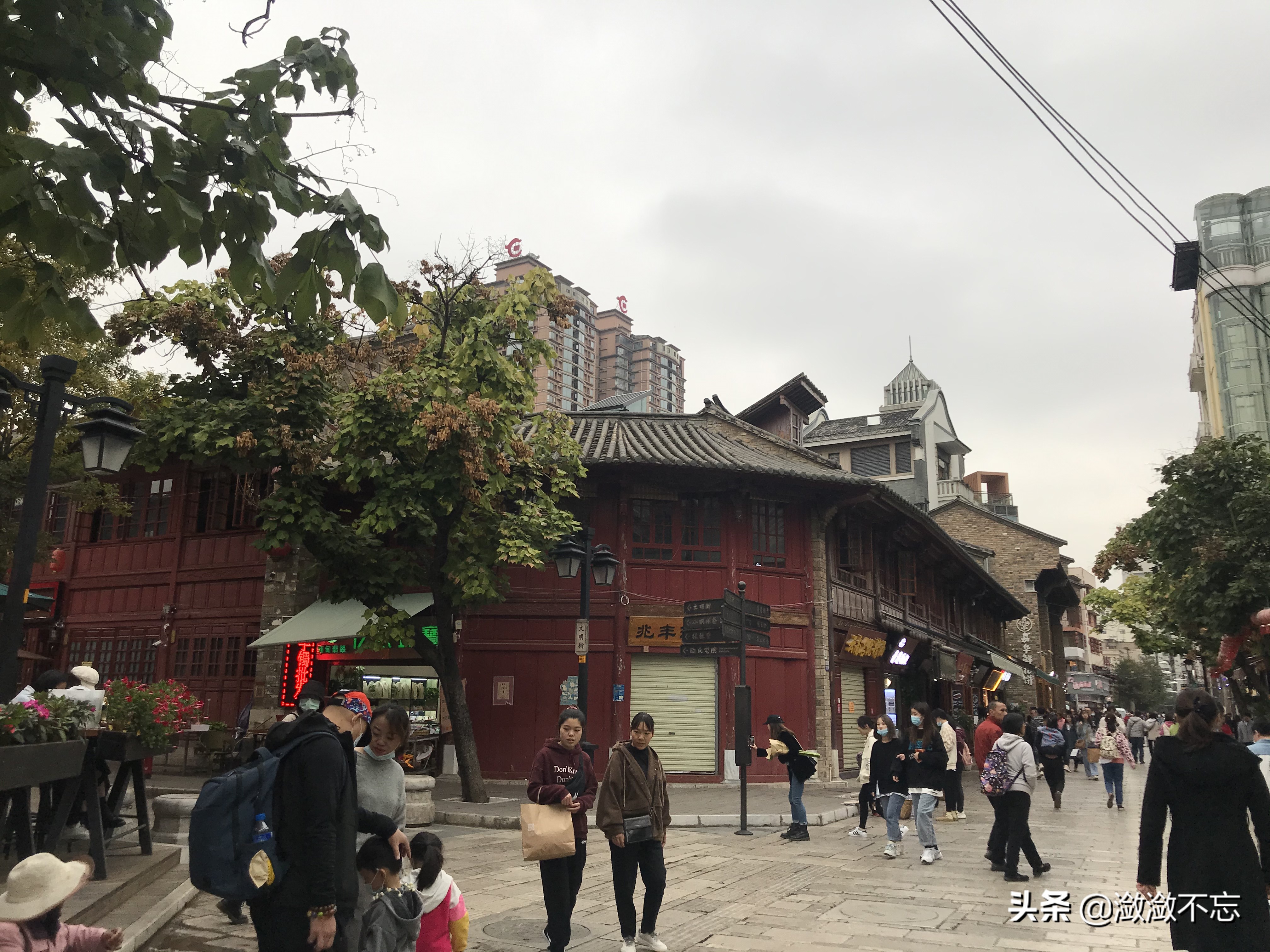 昆明哪里买花便宜又好,昆明斗南花卉市场怎么买花