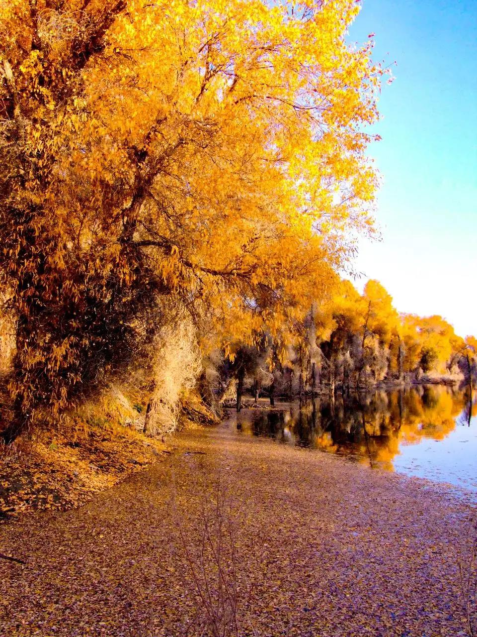 终于攒够了年假,年假怎么攒