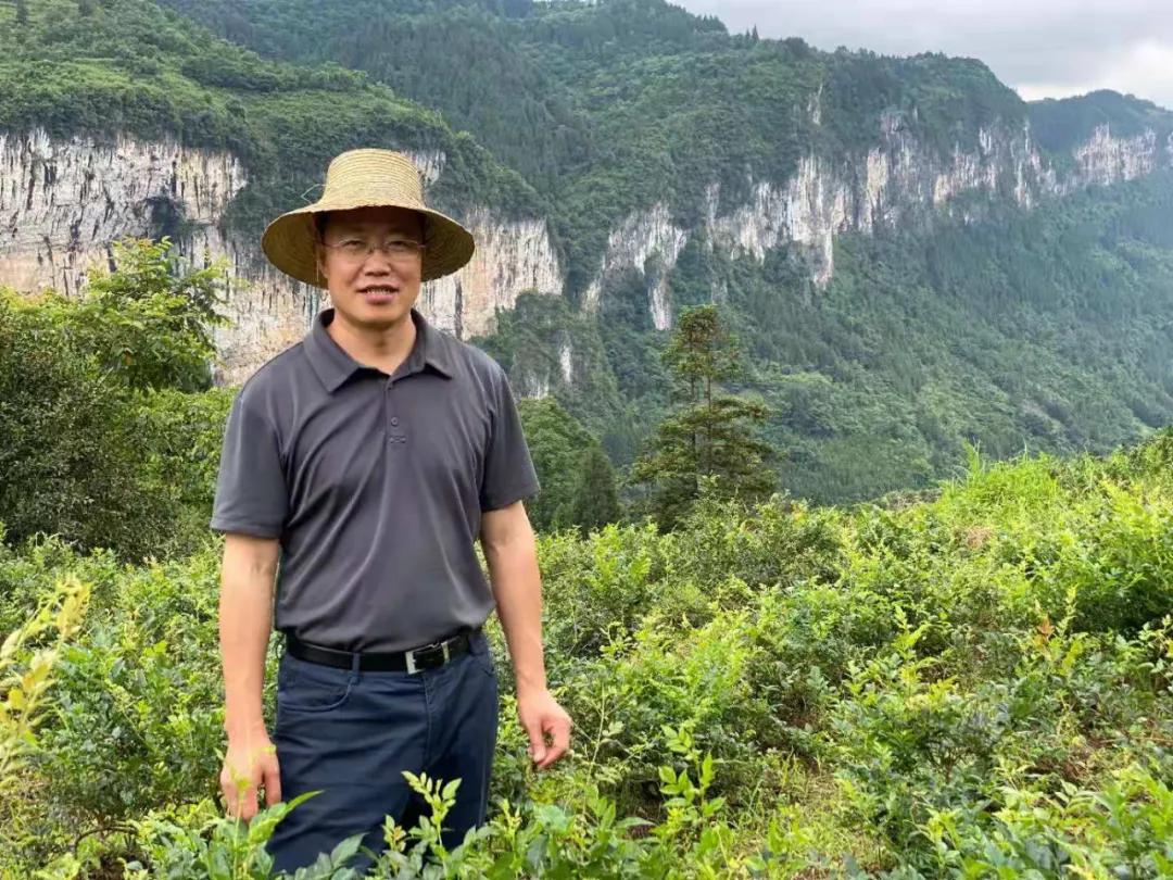 「农民日报推出《特困片区脱贫记》系列报告文学⑧」摆手越千年