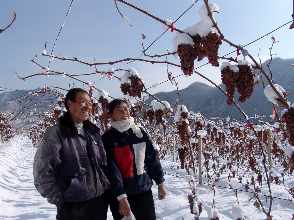 一张图卖出天价,一张图片卖出天价