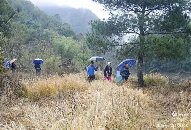 泰顺葛洋陶氏三兄弟修建的三条古道，等你来打卡～