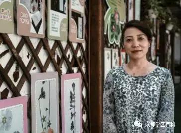 成都学区百科,成都金牛四区怎么样