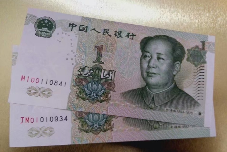 991大叶兰的闪光点