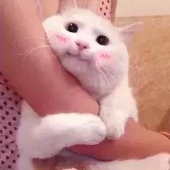 如何学会唱歌好听的方法,唱歌有什么技巧让你的声音变好