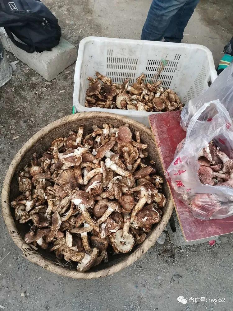 骑闯天路完赛名单,骑闯天路赛程