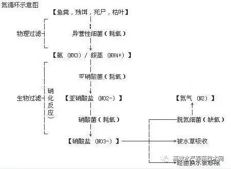 水质管理书,水质管理参数详解