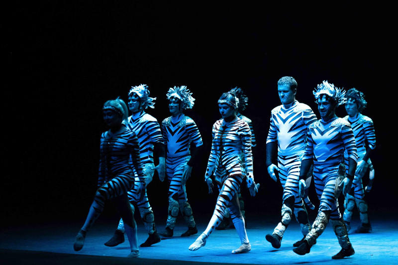 广州长隆野生动物世界的游玩攻略,广州长隆野生动物世界一日游回顾