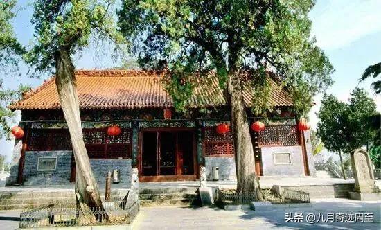 白居易在周至写出的名篇,白居易任周至县尉诗词