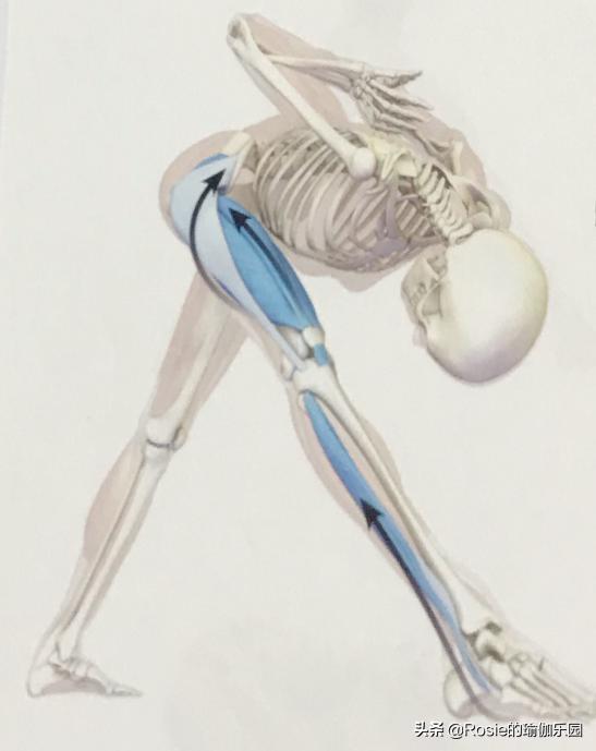 产后平躺腰疼是怎么回事,产后腰痛膝盖痛怎么锻炼