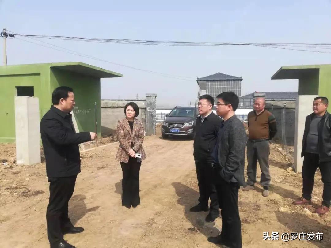 最新罗庄新闻头条,今日罗庄新闻