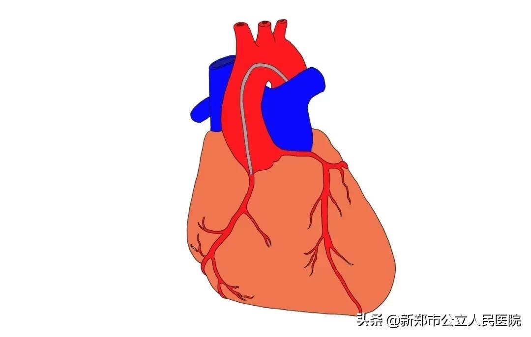 冠脉造影科普宣讲,冠脉CT血管造影
