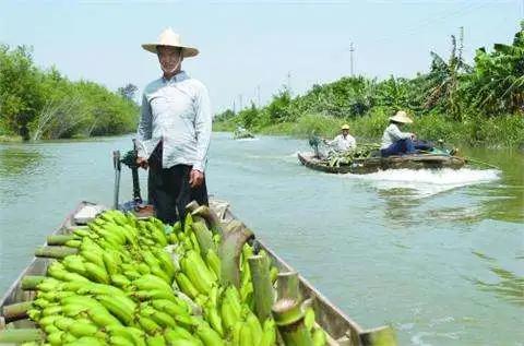 东莞被深深误解的城市,东莞什么时候被评为十大魅力城市