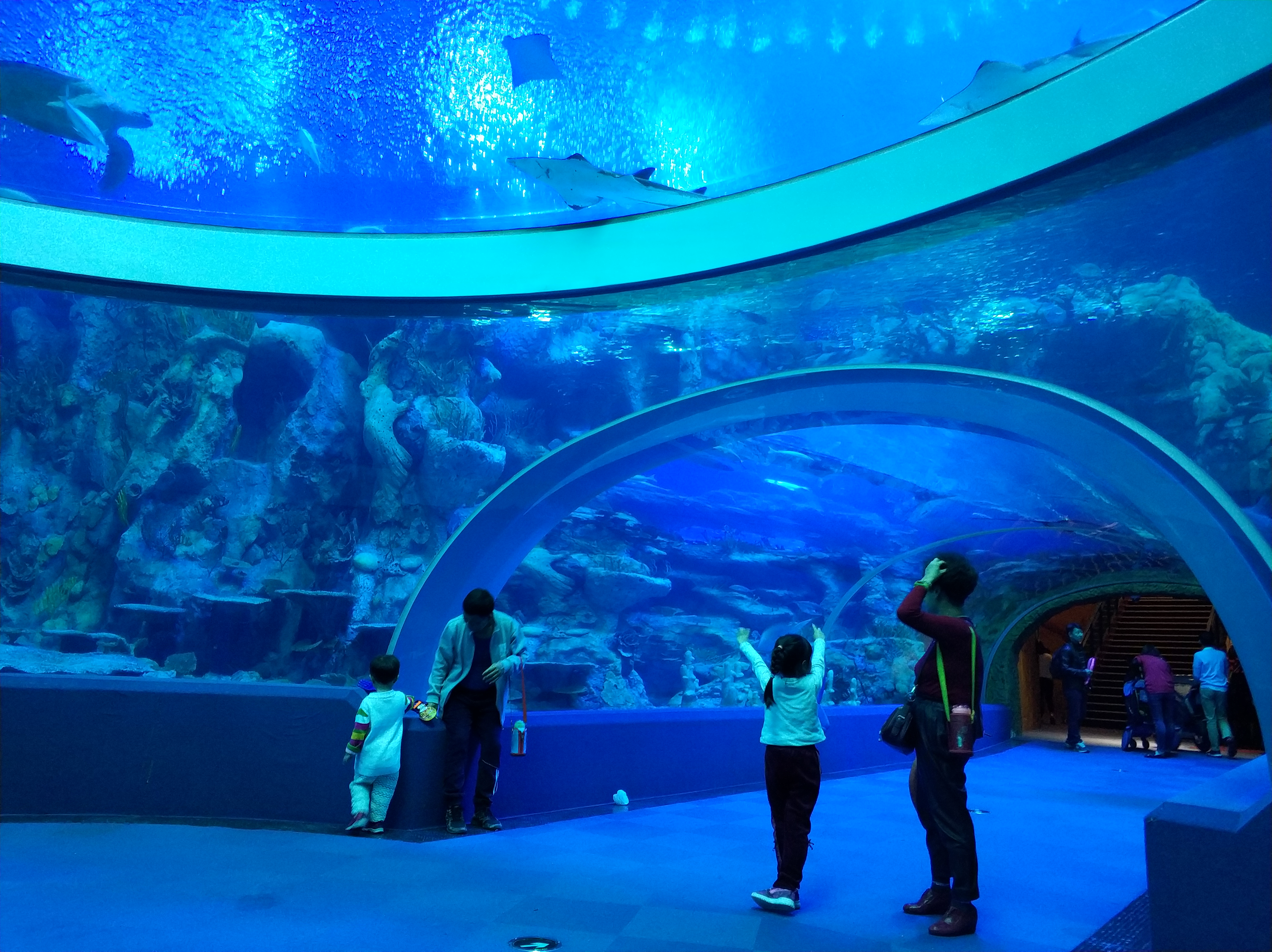 自驾珠海长隆最全游玩攻略,广州自驾游珠海长隆