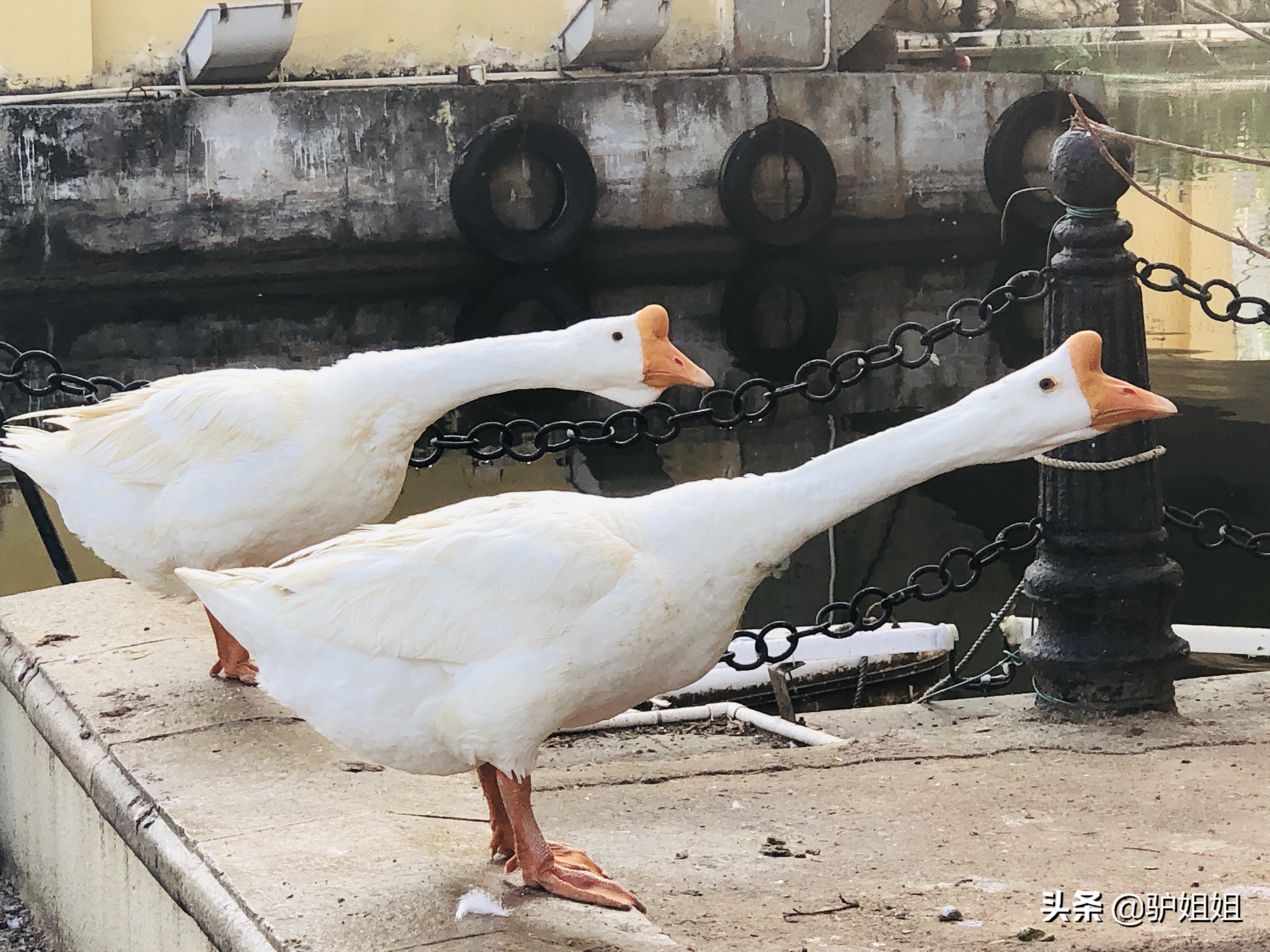 海泉湾，一对母女非常时期的避风港，泡温泉赏美景堪比世外桃源