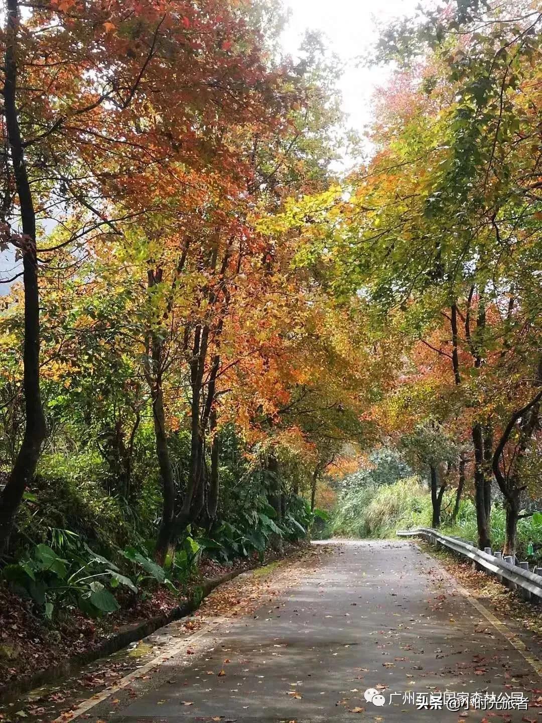 广州市从化温泉旅游区,从化温泉镇正宗硫磺温泉