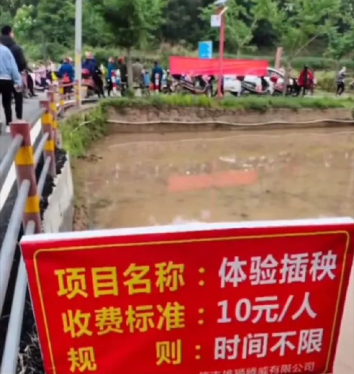 瀛︽牎涓轰簡鐪侀挶闄よ崏,瀛︽牎涓轰簡闄よ崏涓嶈姳閽卞吇浜嗕袱鍙緤