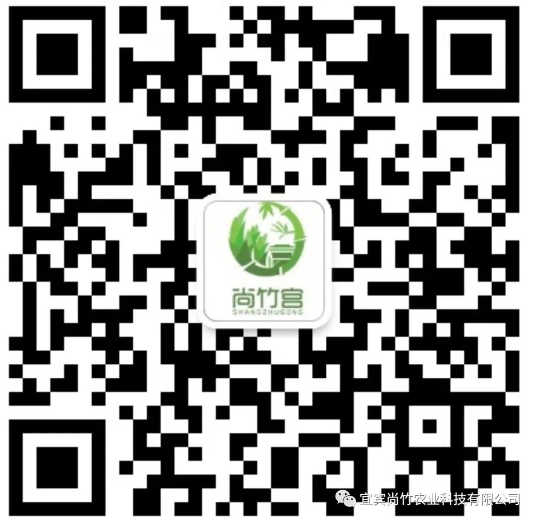 大师手笔酒,竹酒醇香