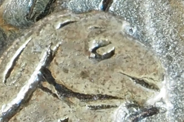 濂ユ灄宸存柉e-m5ii濂楁満璇勬祴,濂ユ灄宸存柉em5浜屼唬娣卞害璇勬祴