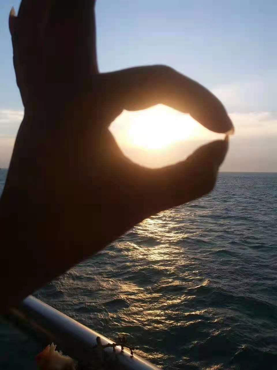 枸杞岛简介,关于宁夏枸杞你了解多少