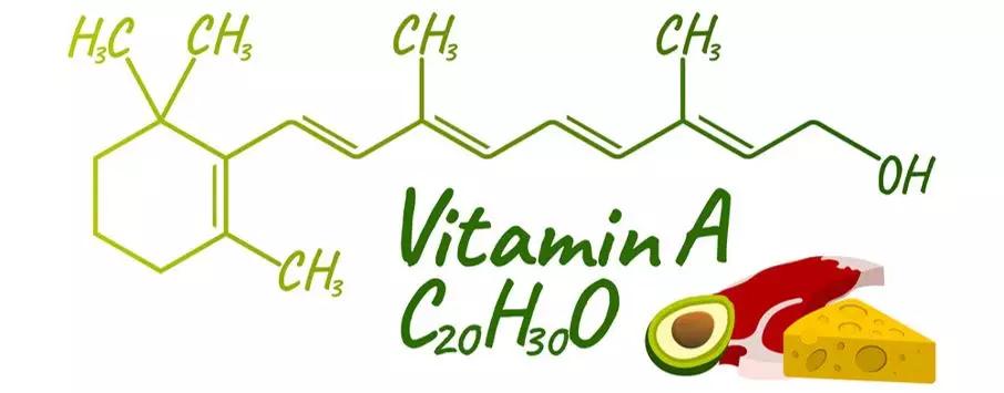 猫咪维生素b补多了有什么坏处,猫咪维生素补多了会怎样