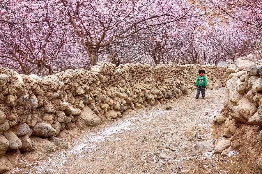 春分送你最美的祝福,春分是春暖花开的季节
