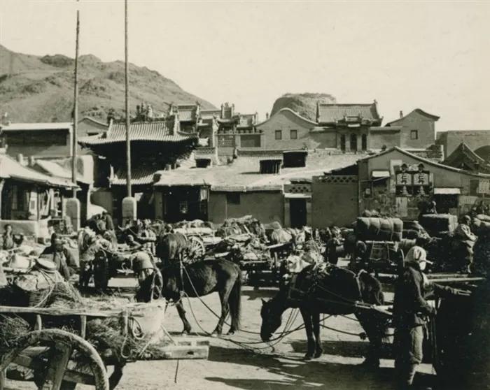 若愚被抛弃,若愚抖音完整版甘肃