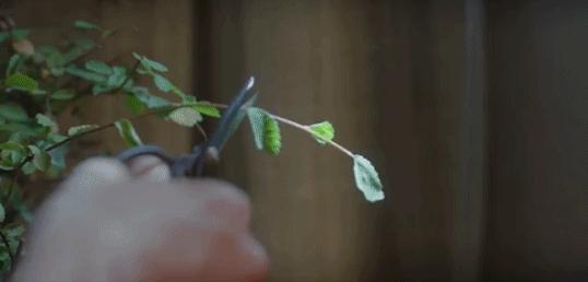 出轨率越来越高说明什么,知道老公出轨了该不该看他手机