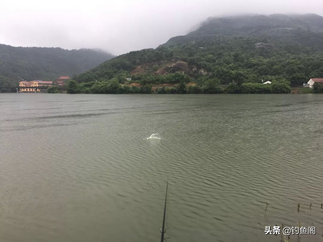 钓鱼主线收纳小技巧防止主线损伤,钓鱼主线怎么安装两个漂座