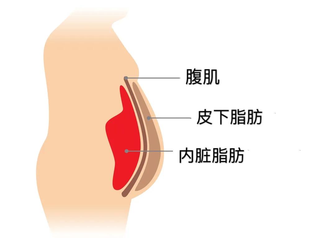 简单减肚子瘦腹操,4分钟极速燃脂操干掉你的大肚腩