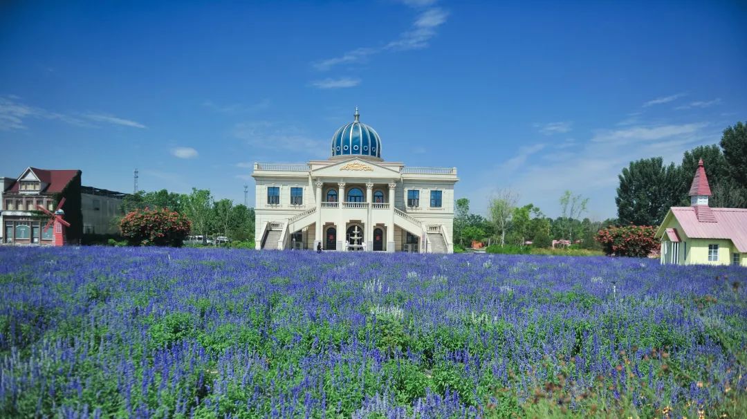 在济南花式避暑，一见“清”心！只需一瞥，便足以把酷夏原谅…
