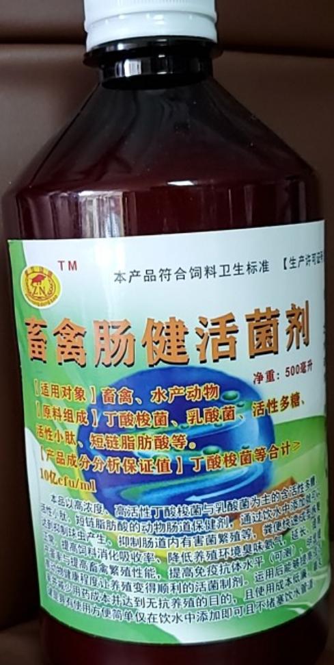 鸡弧菌性肝炎解剖图,鸡弧菌性肝炎的发病原因