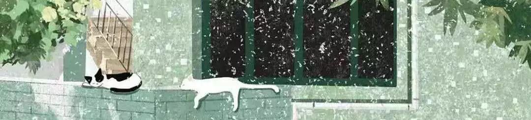 一位女大学生的家教心得：《我的家教之路与一些小建议》