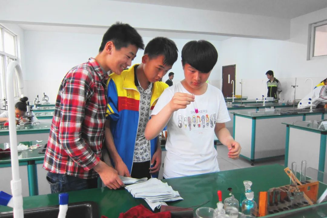 羊山外国语中学2024年招生时间,羊山外国语中学招生热线