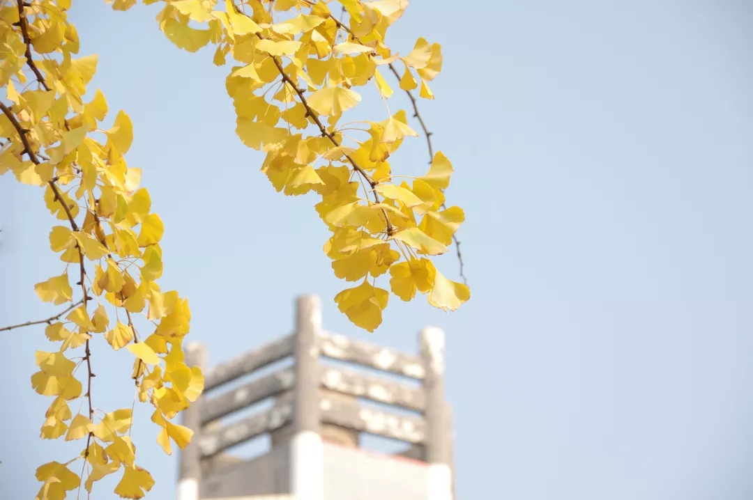 今天我以湖经为荣,明天湖经以我为傲