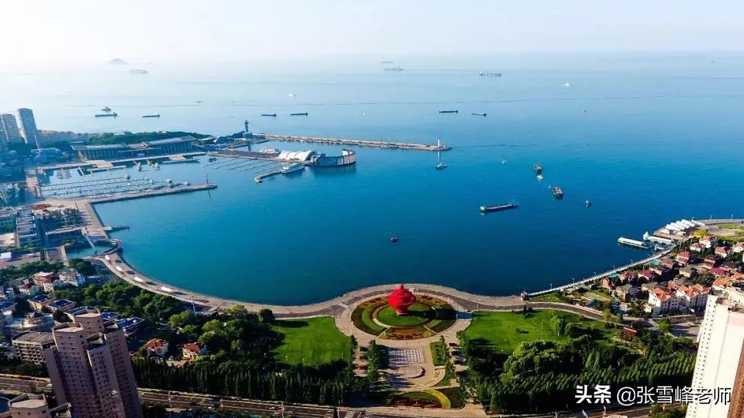 张雪峰评中国农业大学哪个专业好,文科生630左右能报什么专业张雪峰