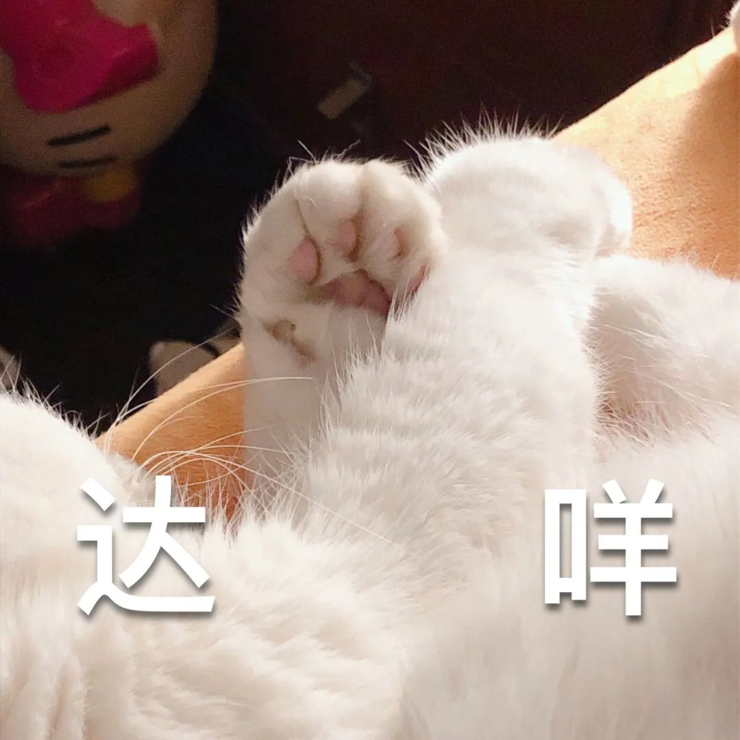 意大利人的一些习惯和习俗,想去意大利留学要注意什么