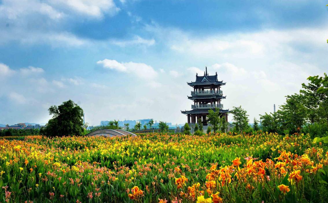 东莞麻涌美丽田园,东莞麻涌田园生活