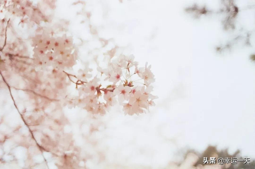 青涩时光——我和H大不得不说的故事（四）小说连载